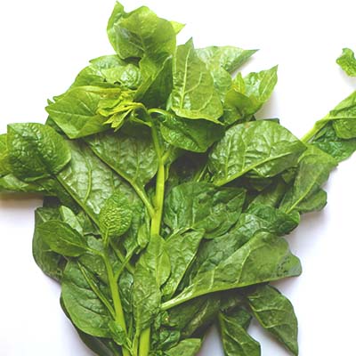 Malabar Spinach (Puishak) 1bundle