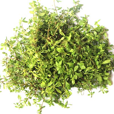Water spinach (Gima Sak) 100g