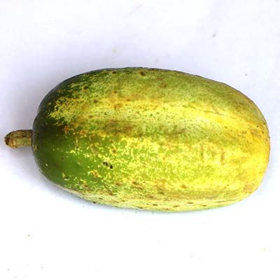 Cucumber (Sosha) 1kg