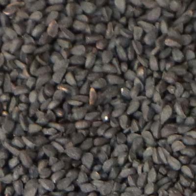 Nigella Seed Premium (Kalo Jira) 100g