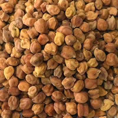 Chickpea (Sola Butt) - 500g