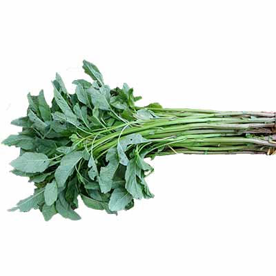 Dataa Shak Big 1 bundle