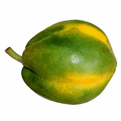  Papaya Big Size 1 pieces