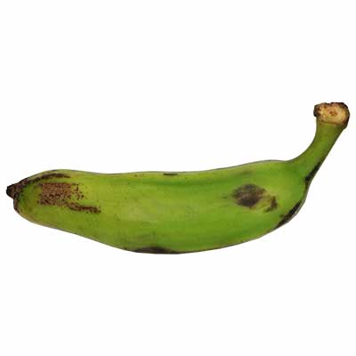 Banana Green 4 Pieces